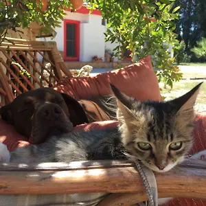 Dane Gokova Otel Akcapinar (Mugla)